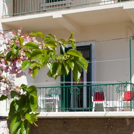 Mario Apartment *